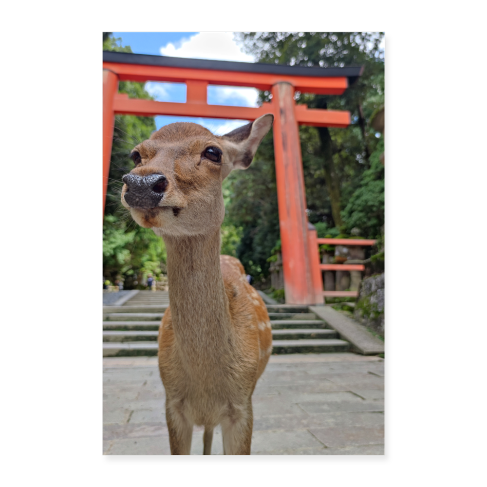 Poster Nara-Reh 24" x 35" (60x90 cm) - white