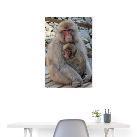 Poster Schneeaffen 24" x 35" (60x90 cm) - white