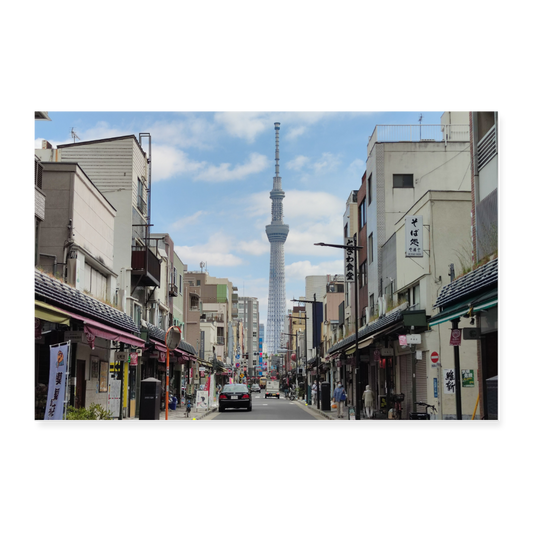 Poster "Tokyo Lines"  36" x 24" (90x60 cm) - white